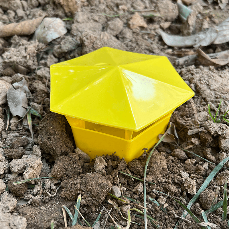 6 Pcs, Beer Slug & Snail Traps, Snail Trap Catcher Tool, New Reusable Plastic Snail Trapper, Slug Plastic Box, Slug Traps for Garden, Plastic Snail Trapper for Vegetable Garden Farm Decor